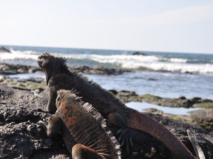 Islas Galápagos